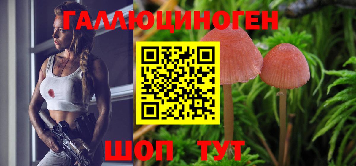 Галлюциногенные грибы Cubensis Касимов